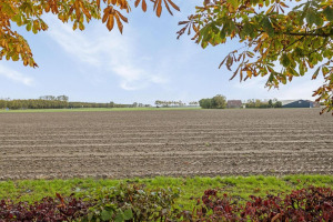 Koningspleisterplaats 221, Goedereede