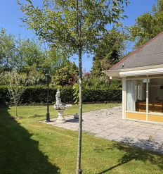 De Toekomst 118, Ouddorp