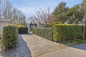 Klepperstee-Esdoorn 3, Ouddorp