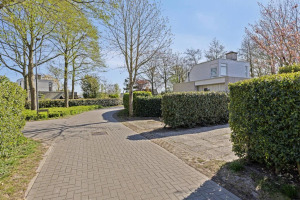 Klepperstee-Esdoorn 3, Ouddorp