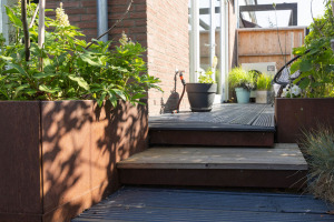 Molendijk 6, Nieuwe-Tonge