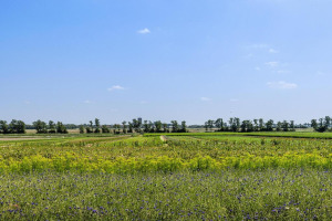 Oostdijkseweg 43, Goedereede