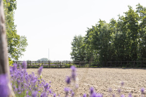 Geerweg 2, Middelharnis