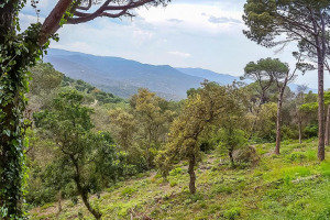 Avinguda dels Arbres 13, Lloret de Mar