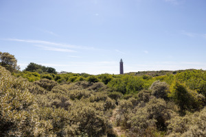 Groenedijk 52, Ouddorp