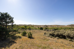 Groenedijk 52, Ouddorp