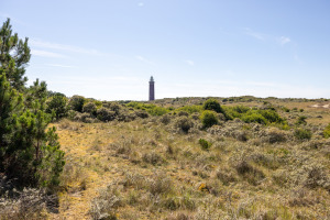 Groenedijk 52, Ouddorp