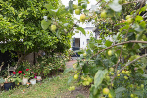 Pieterstraat 46, Goedereede