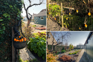 Dirkdoensweg 1-A, Ouddorp